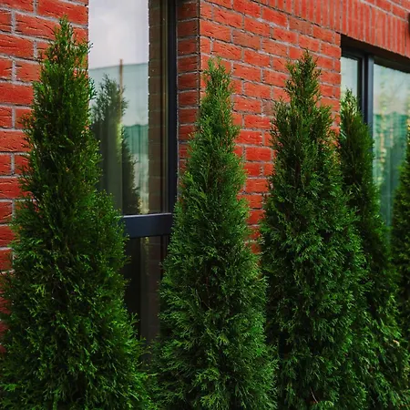 Chic Modern - Work-friendly & Comfortable Kluž