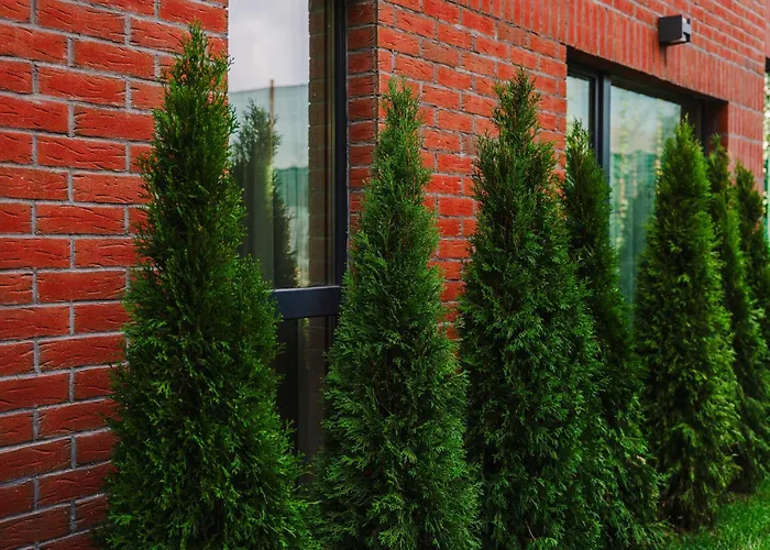 Chic Modern - Work-friendly & Comfortable Cluj-Napoca